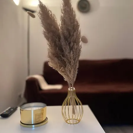 Teps Airport Venice Lägenhet Mestre